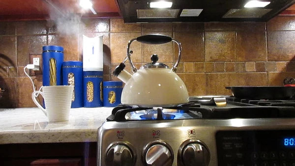 COPCO Whistling Teapot Tea Kettle Cream Enamel Tea Pot 2.5 Qts